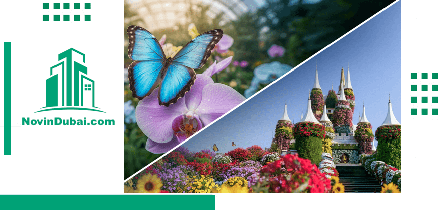 نمای میراکل گاردن